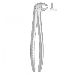 FORCEPS CANINO Y PREMOLAR...