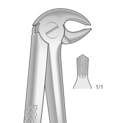 FORCEPS MOLAR INFERIOR.