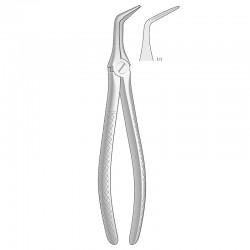 FORCEPS RAIZ INFERIOR