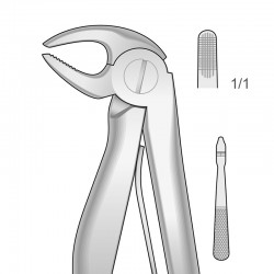 FORCEPS PARA INCISIVOS...