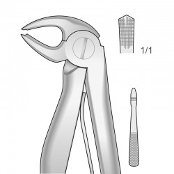 FORCEPS PARA MOLARES Y...