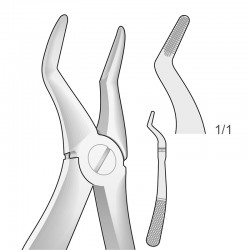 FORCEPS PEDIÁTRICO DE...