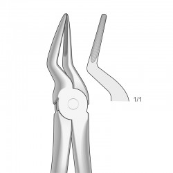 FORCEPS LARGO RAICES...