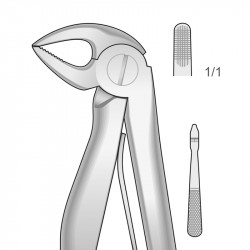 FORCEPS PEDIÁTRICO RAÍCES...